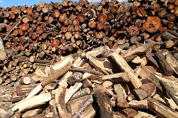 produzione-e-vendita-legname